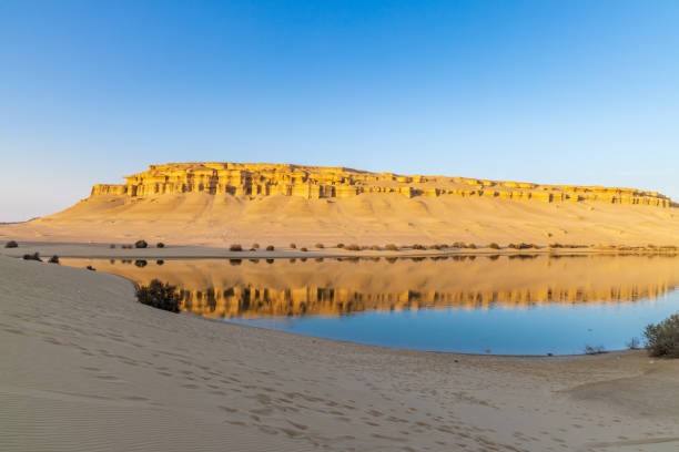 Fayoum oasis