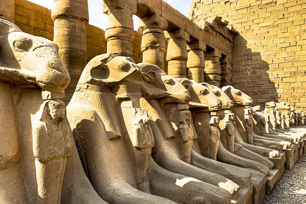 2 Days Tour in Luxor from Safaga Port