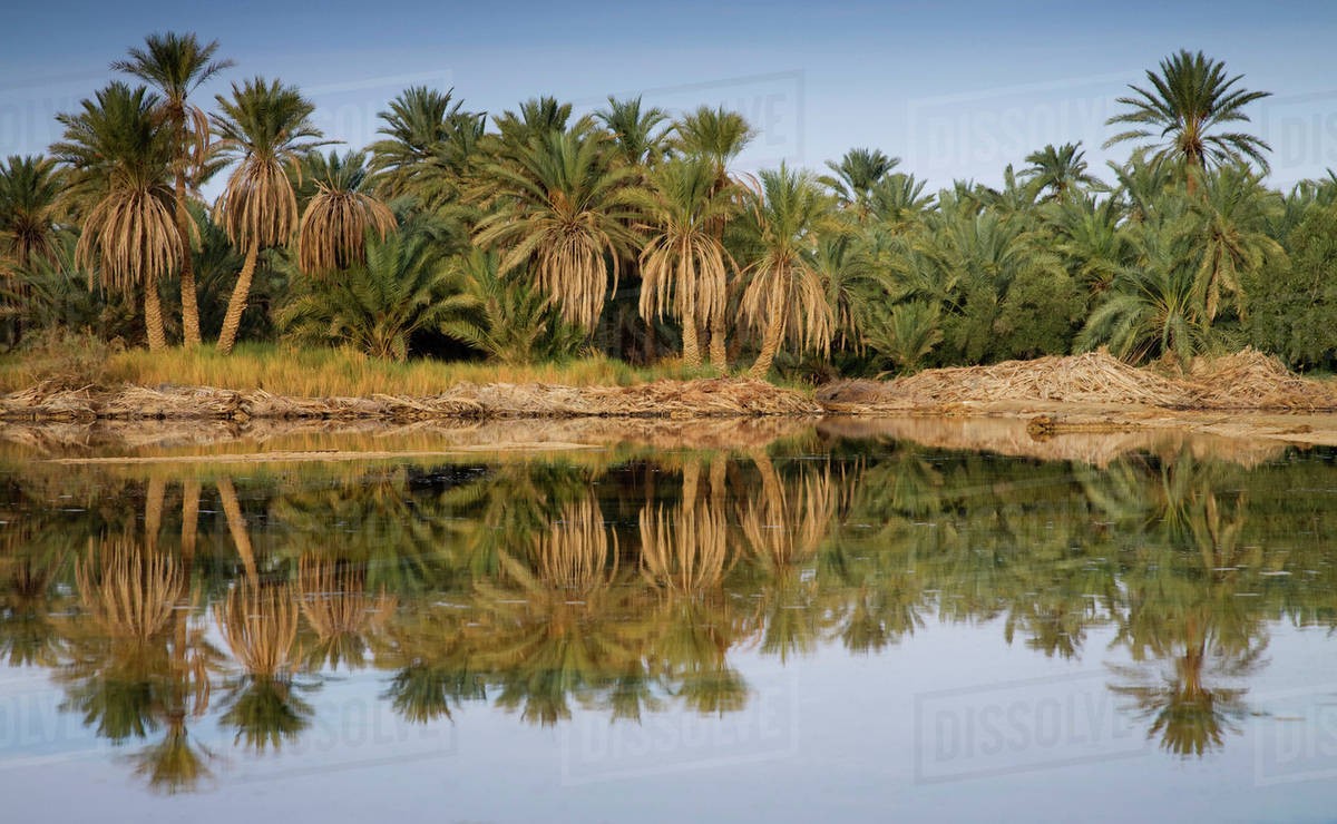 Safari El Fayoum oasis