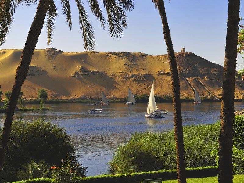 8 DAYS TOUR (4 nights Nile Cruise / 3 nights Cairo)
