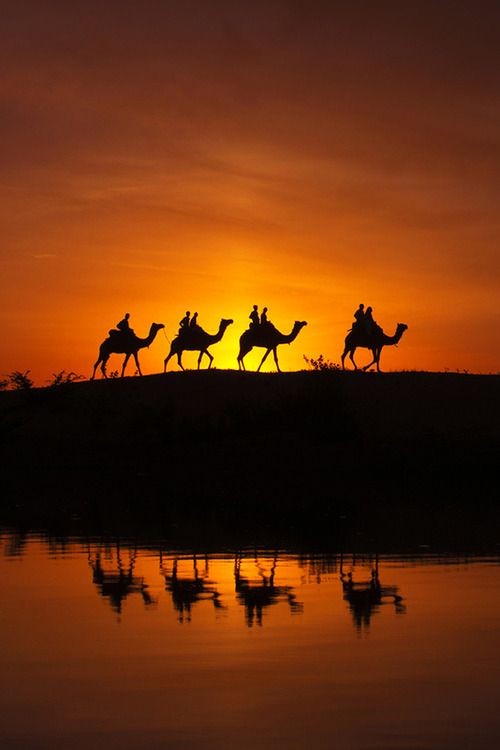 CAMEL RIDE AT THE PYRAMIDS | SUNSET
